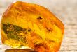 Artificial amber stores data in DNA long term
